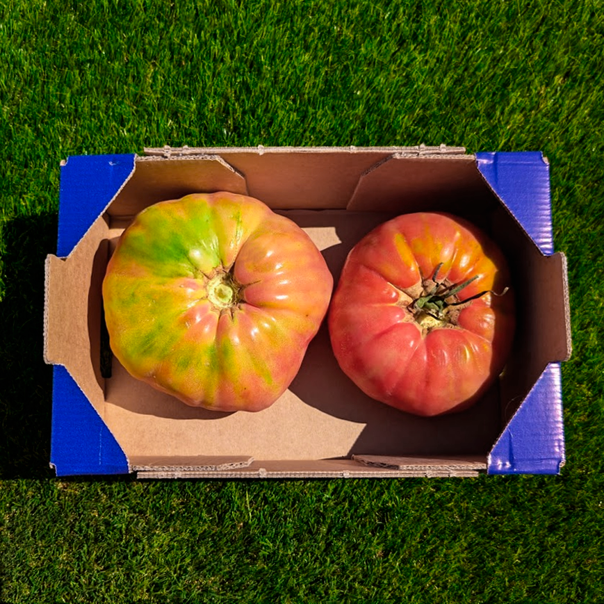 Tomate Barbastro de Nuestros Agricultores