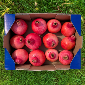 Granada de Zumo de Nuestros Agricultores