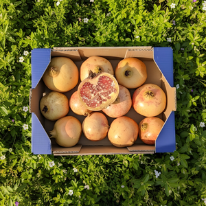 Granada de Mesa de Nuestros Agricultores