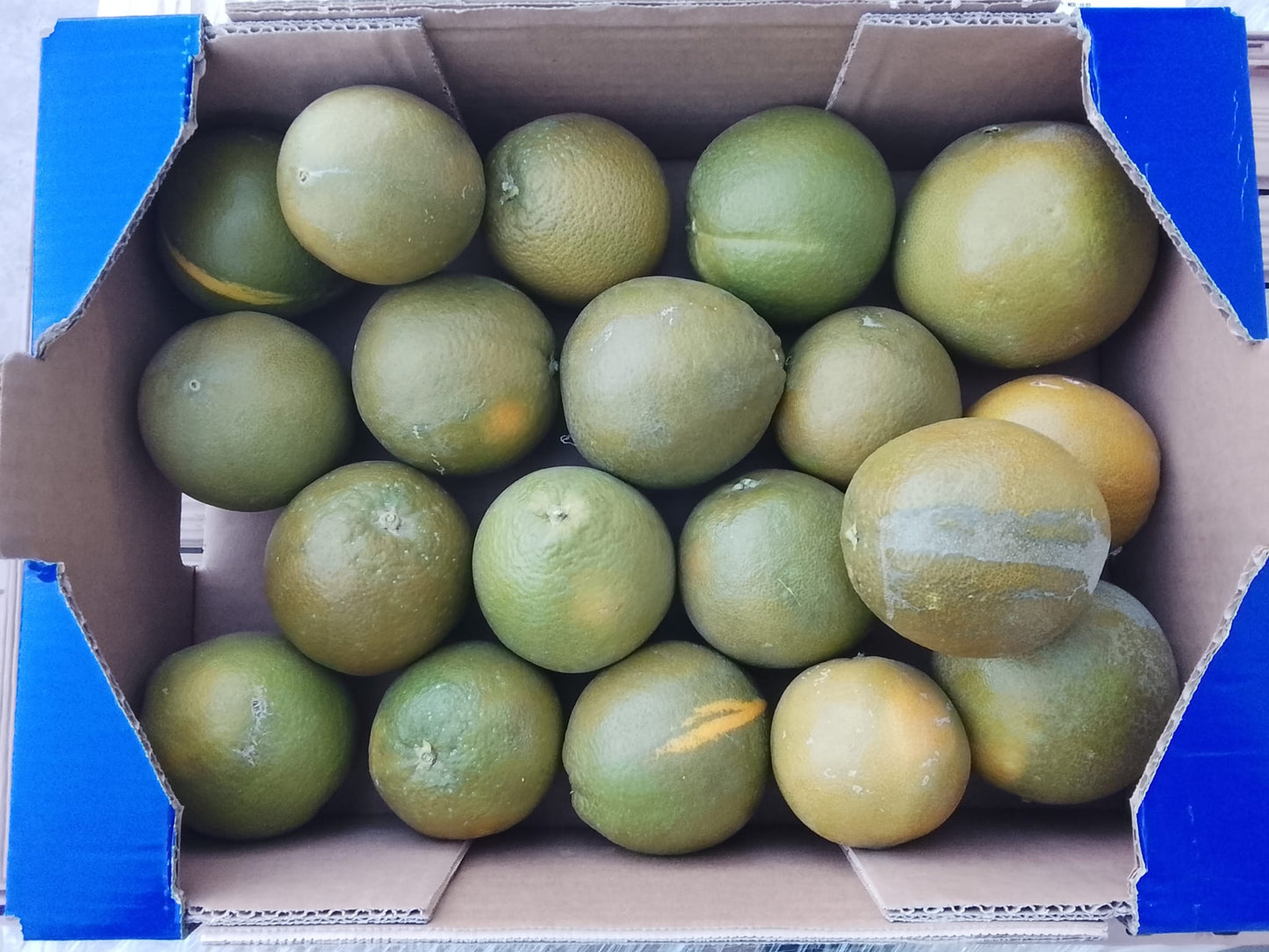 Naranja de Zumo de Nuestros Agricultores