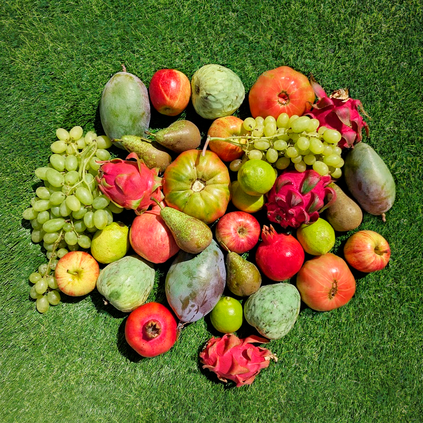 Caja de Fruta de Temporada de Nuestros Agricultores