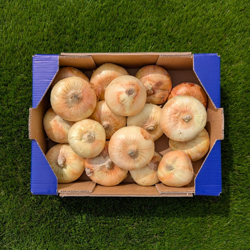 Cebolla Dulce de Nuestros Agricultores