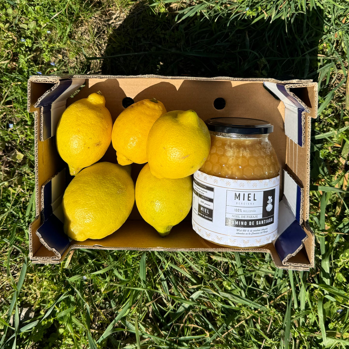 1kg Miel + 1kg Limón Ecológico