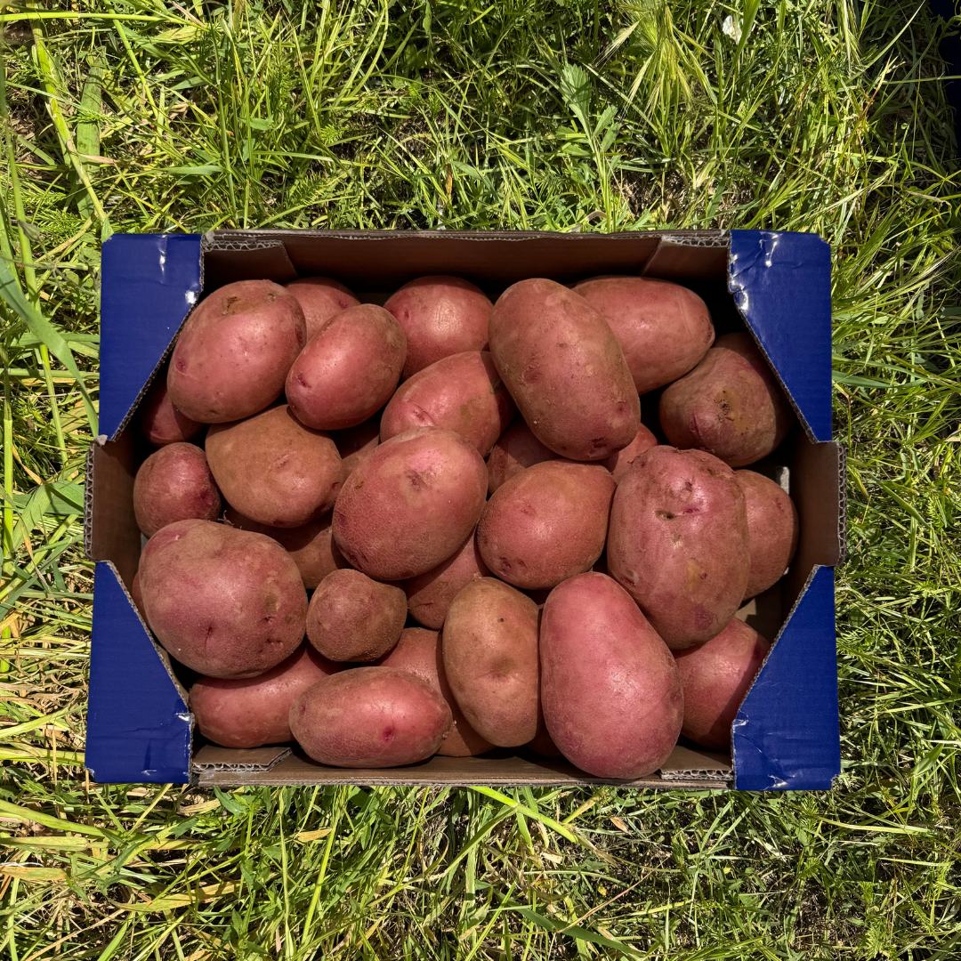 Patatas de Nuestros Agricultores