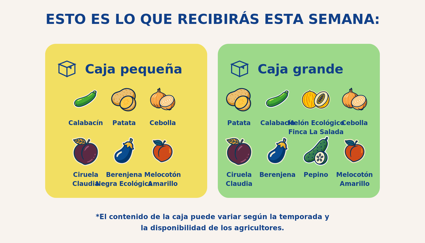 Caja grande de mixta - semana 2026-08-27T21:26:39.554516+02:00
