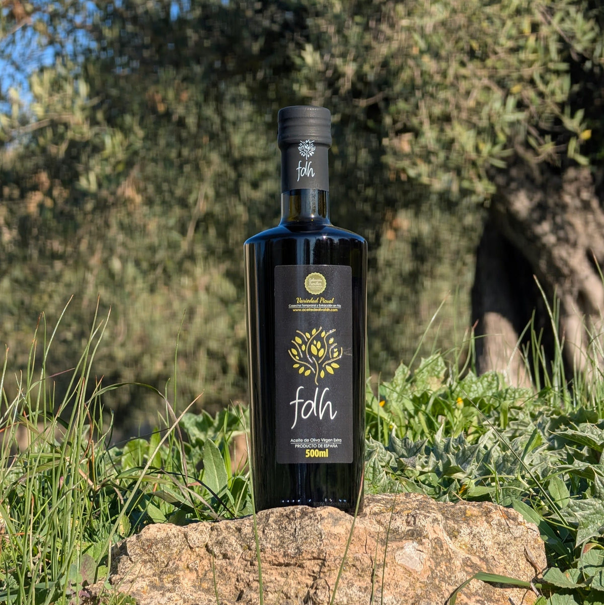 Aceite de Oliva Virgen Extra Premium – Europa Agricult Product