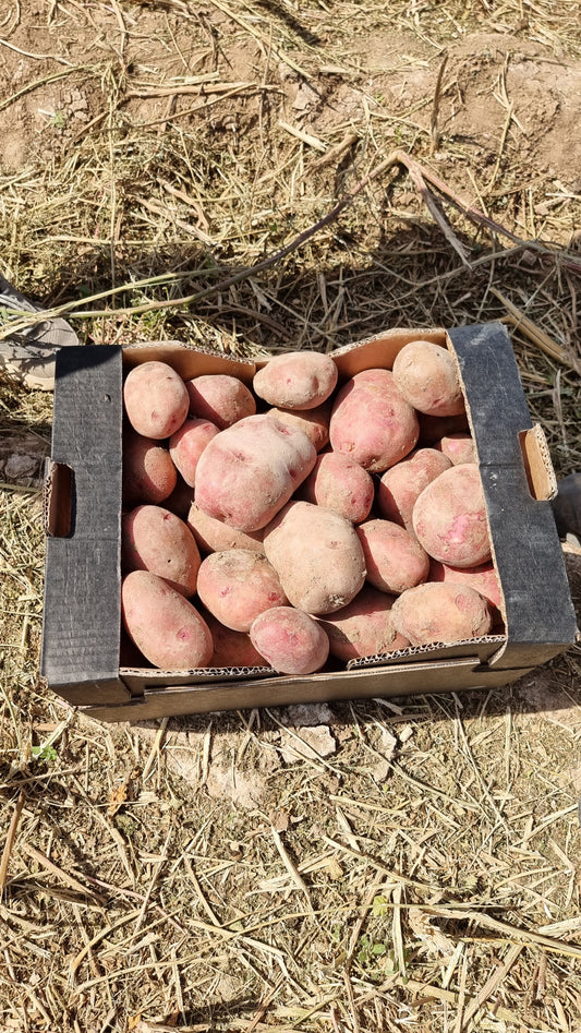 Caja de 6kg aprox. de Cebolla y 6kg aprox de Patata de nuestros agricultores