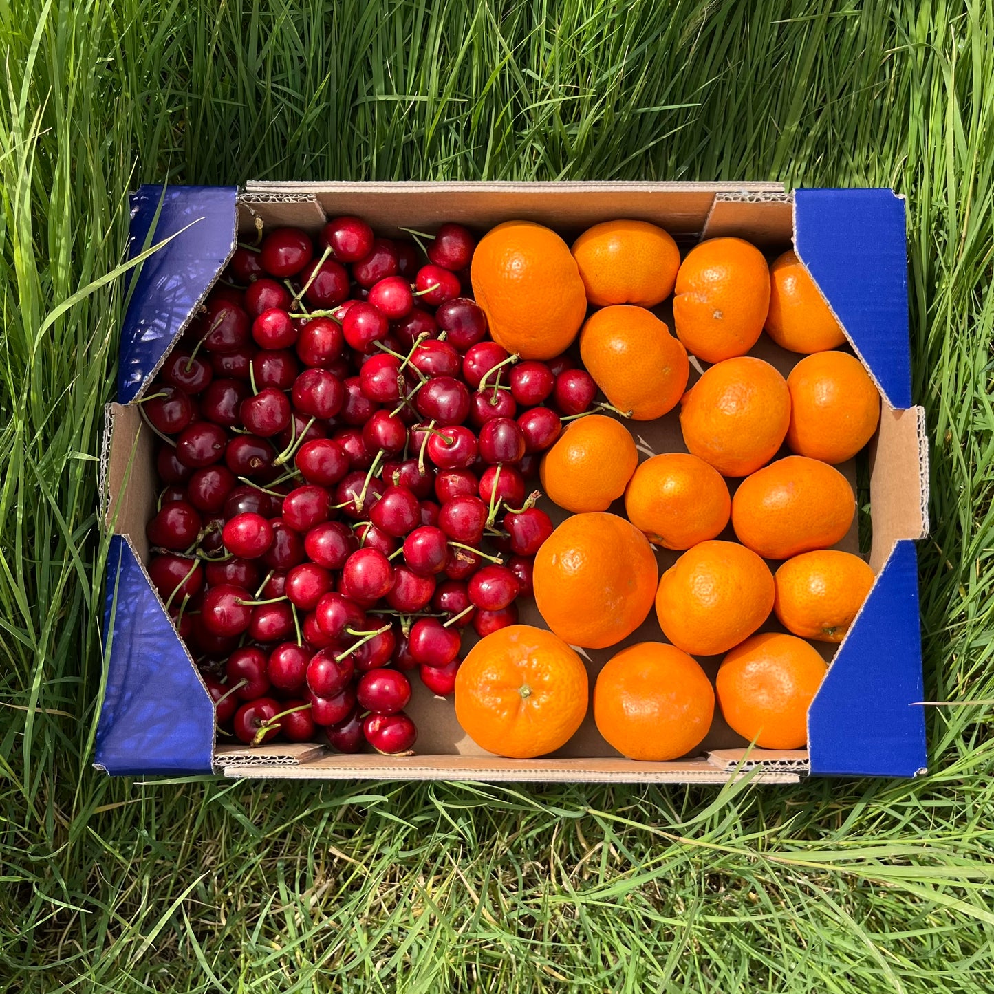 1.5kg Mandarina + 1.5kg Cereza