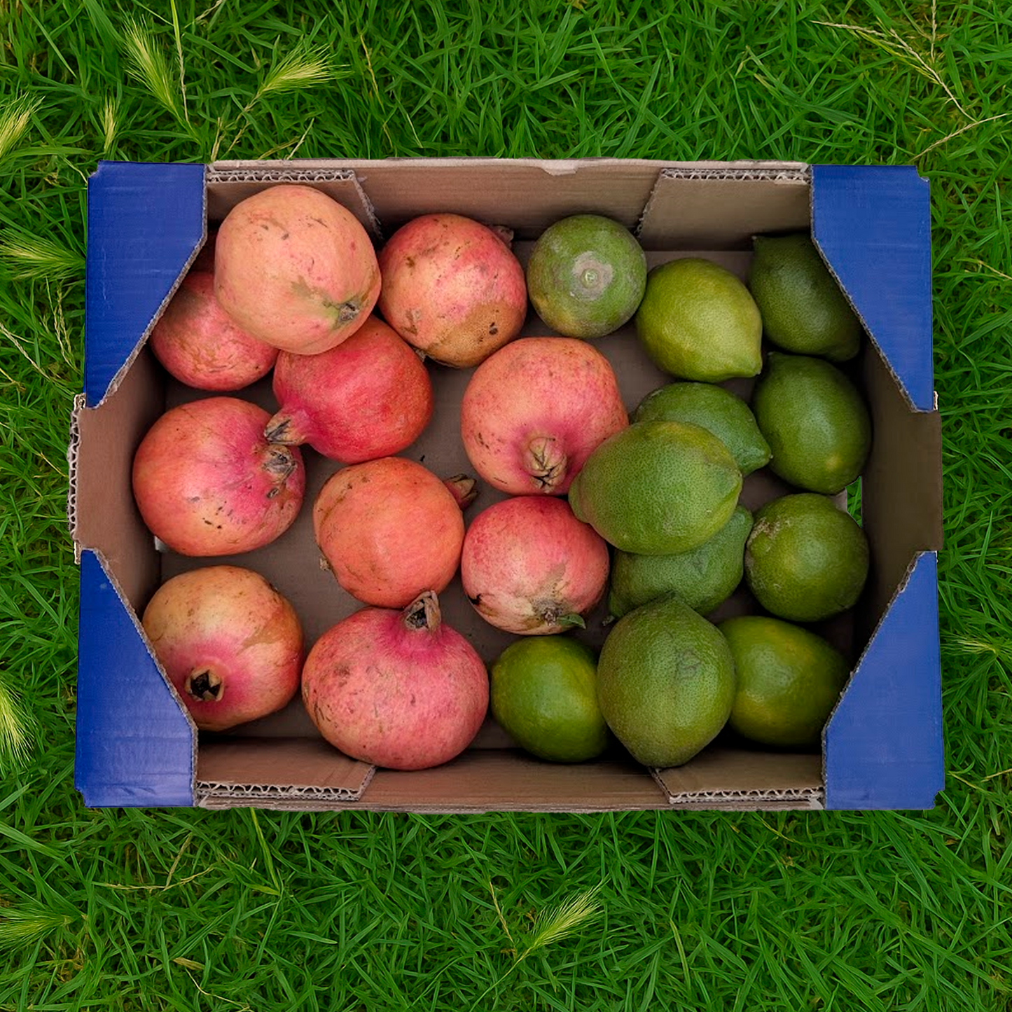 1.5kg Limón + 2.5kg Granada Ecológicos
