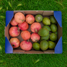 1.5kg Limón + 2.5kg Granada Ecológicos