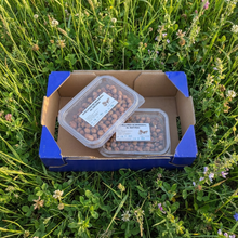 Avellanas al Natural - 500gr