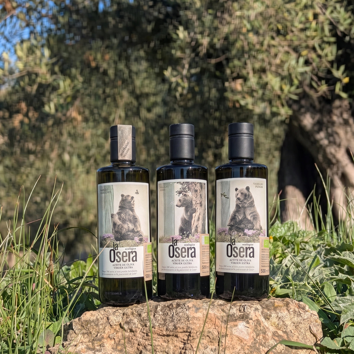AOVE Ecológico Premium