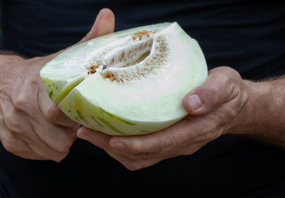 Melón Premium Ecológico de Pascual Cabedo