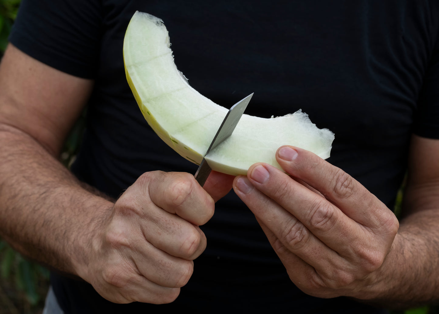 Melón Premium Ecológico de Pascual Cabedo