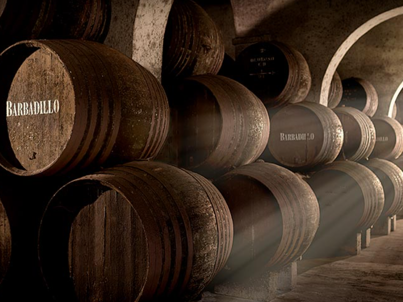 Bodegas Barbadillo