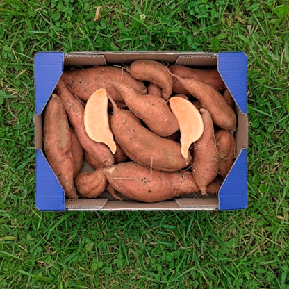 Boniato Naranja de Nuestros Agricultores