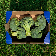 Brócoli - 3kg