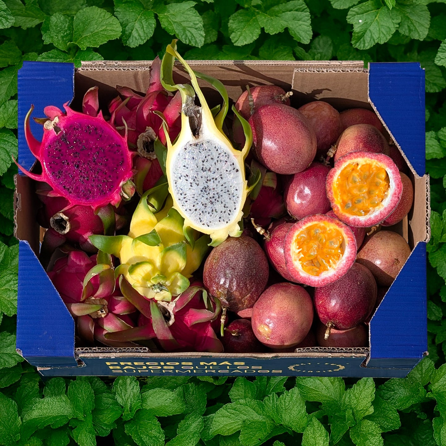 1kg Maracuyá + 2kg Pitaya