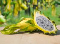 Pitaya Variante 2