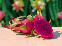 Pitaya Variante 3