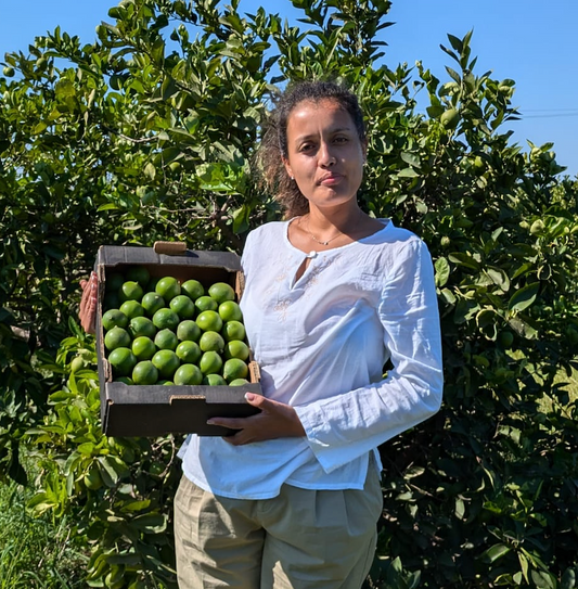 Caja de 3,5kg aprox de Lima de Nuestros Agricultores de Sollano