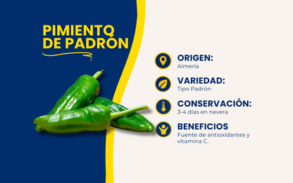 Pimientos Tipo Padrón - 3kg