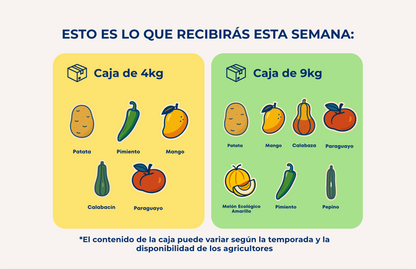 Caja Mixta de Frutas y Verduras de Temporada de Nuestros Agricultores