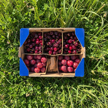 Ciruela Fresa + Cereza