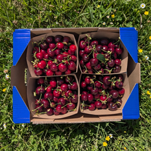 Cerezas