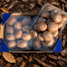 Champiñón Portobello de Nuestros Agricultores - 4 bandejas