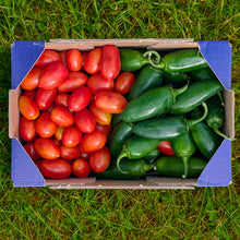 1kg Tomate Cherry + 1kg Jalapeños