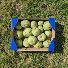 Chirimoya de Nuestros Agricultores