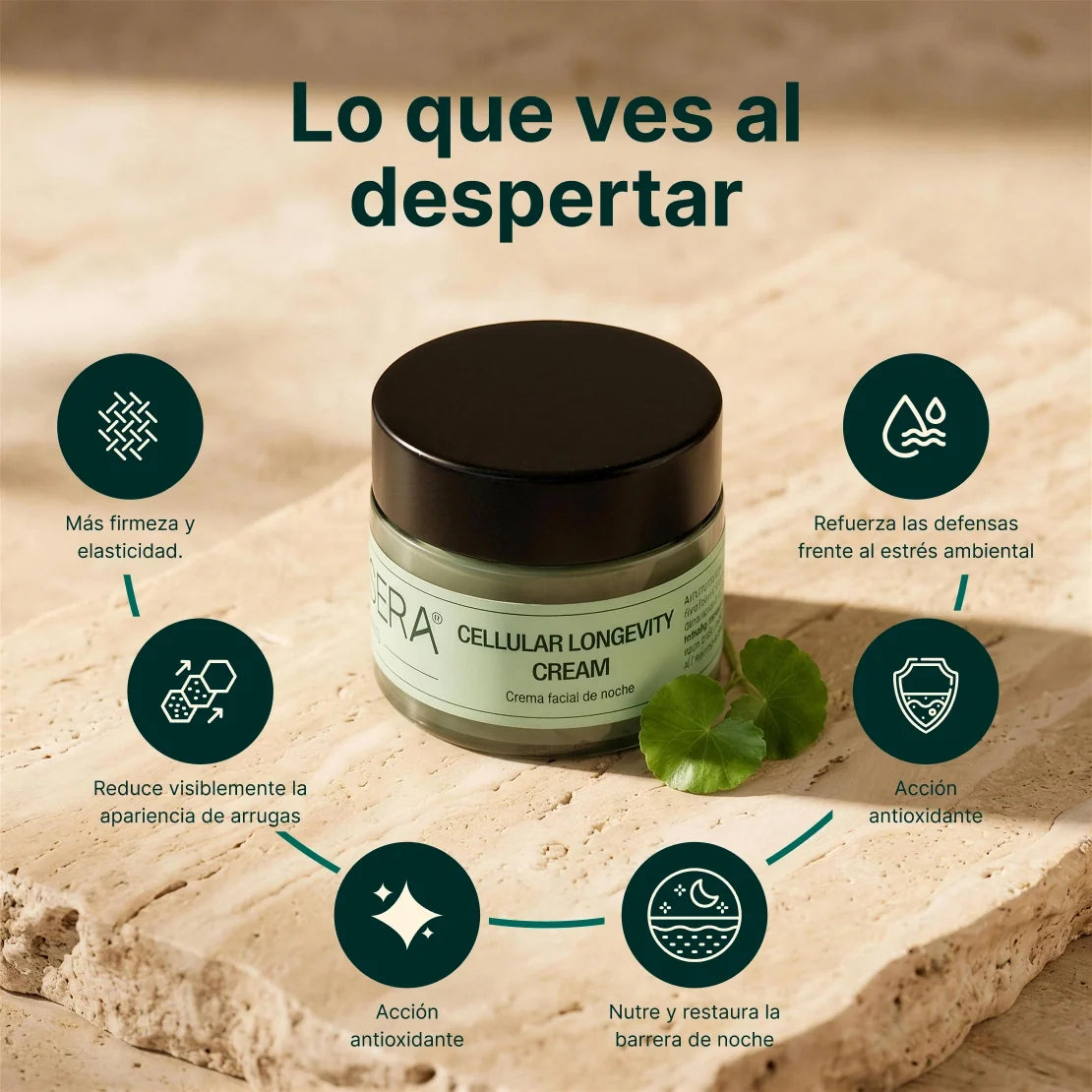 Crema facial - Cellular Longevity Cream (50ml)