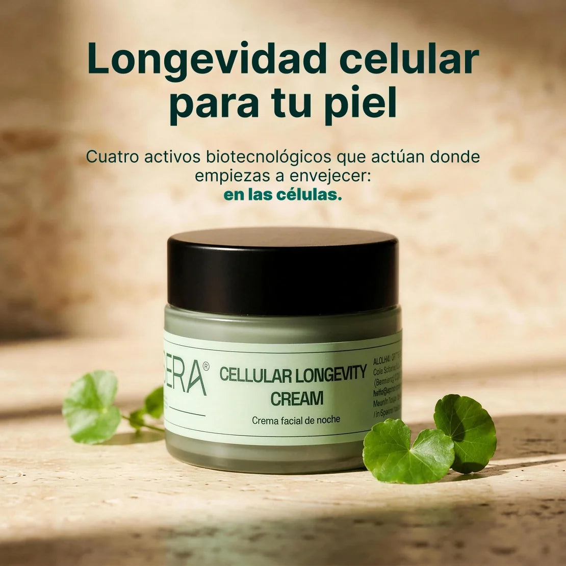 Crema facial - Cellular Longevity Cream (50ml)