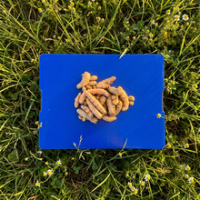 Cúrcuma Orgánica - 1kg