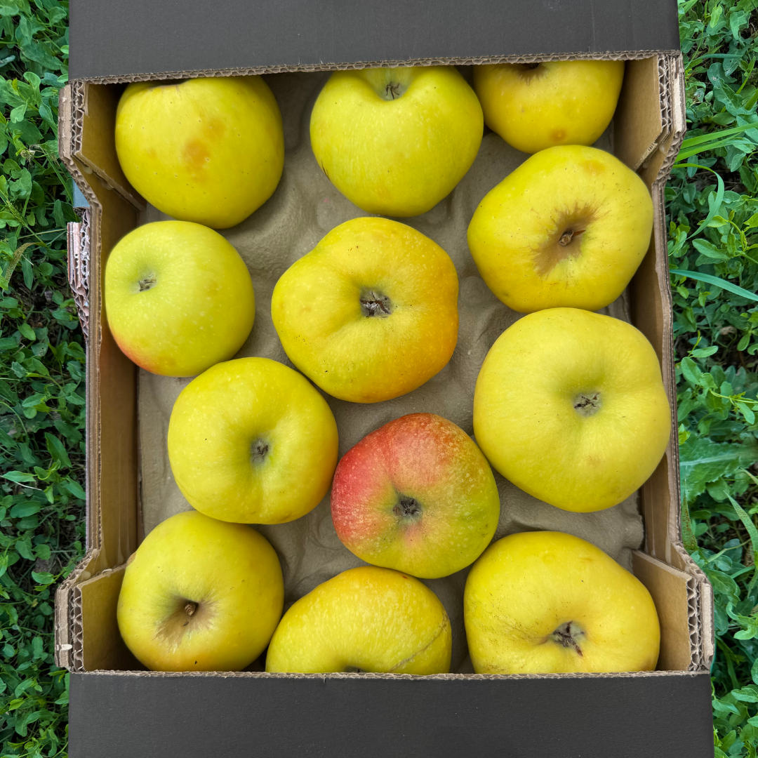 Esperiega Apple from Ademuz - 3.5kg approx