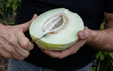 Melón Premium Ecológico de Pascual Cabedo