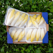 Endivia de Nuestros Agricultores - 5 bandejas