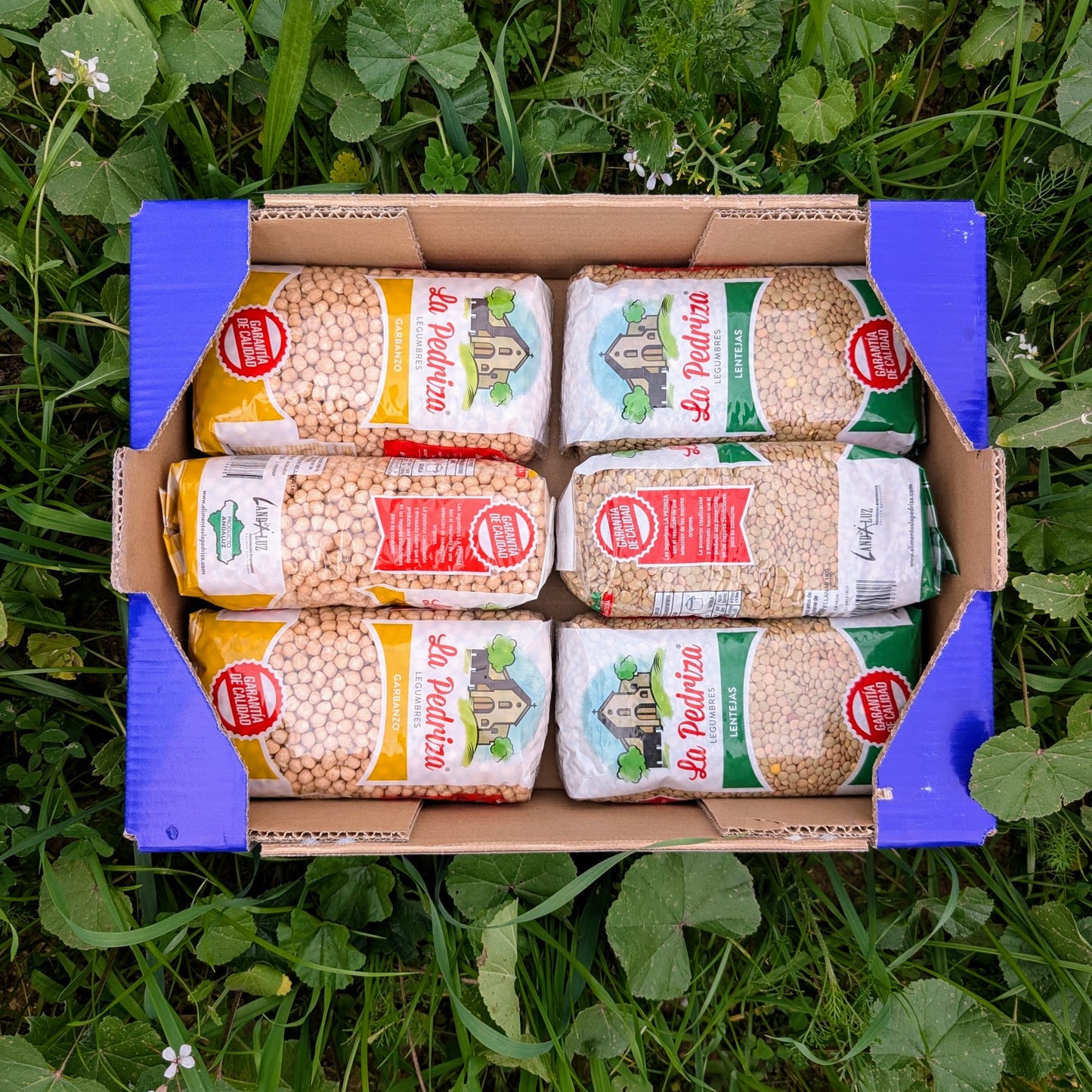 3 kg Linsen + 3 kg Kichererbsen Pedrosillano