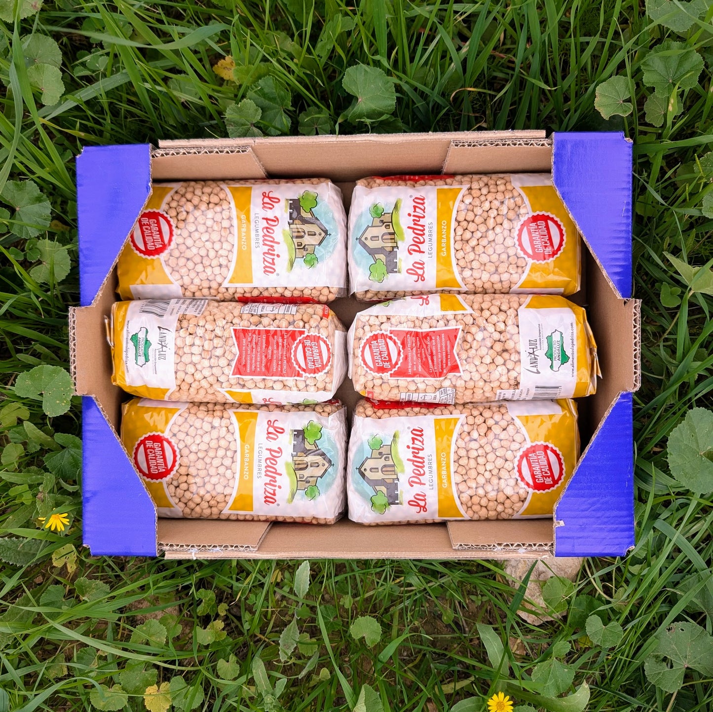 Pedrosillanos-Kichererbsen – 6kg