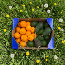 Mandarina y Aguacate de Nuestros Agricultores