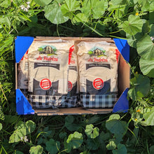 Harina de Garbanzo - 3 paquetes