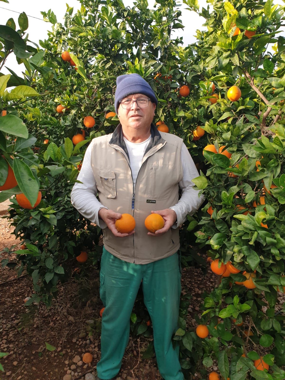 Naranja de Mesa de Nuestros Agricultores