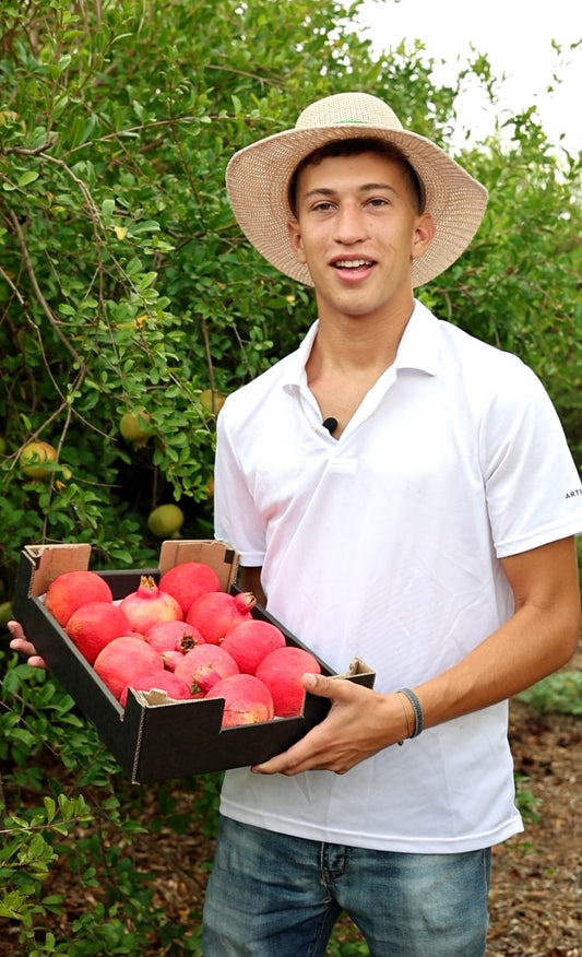 Kiste mit 3,5 kg Granatapfel von unserem Bauern Pablo und seiner Familie