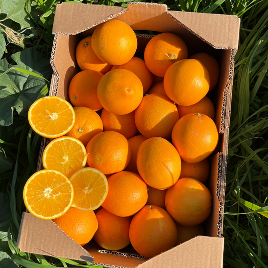 Naranja de Zumo de Nuestros Agricultores - 9kg aprox