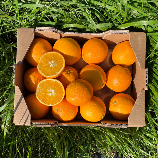 Naranja Ecológica de Nuestros Agricultores