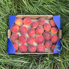 Melocotón Ecológico - 3kg