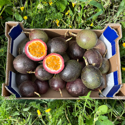 Bio-Passionsfrucht in Umstellung