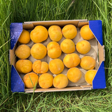 Melocotón Amarillo - 3kg
