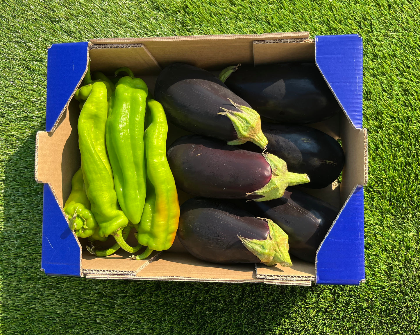 2kg Berenjena + 1kg Pimiento Italiano Ecológicos